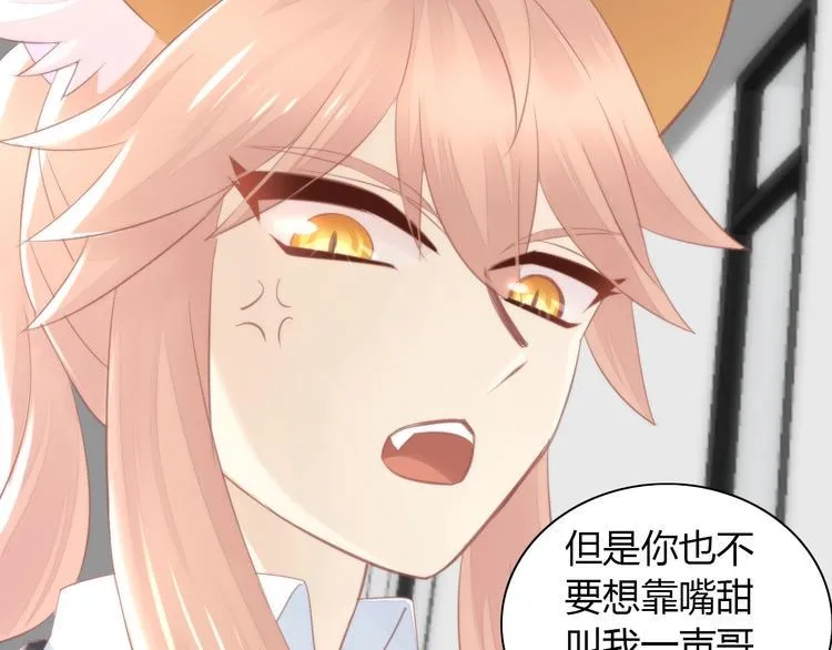 第204页