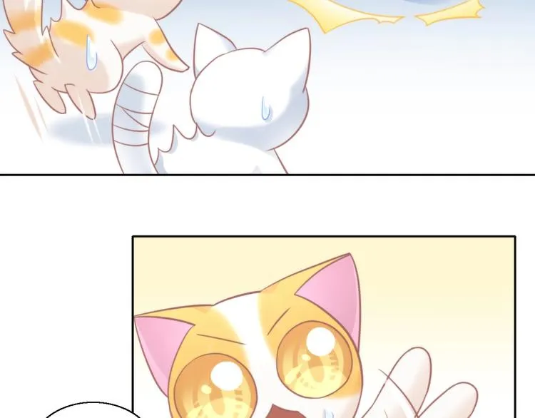 第285页