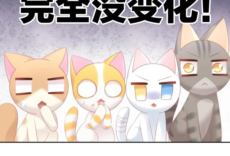 第279页