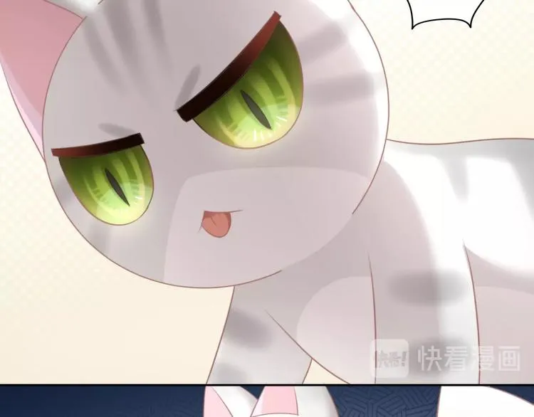第243页