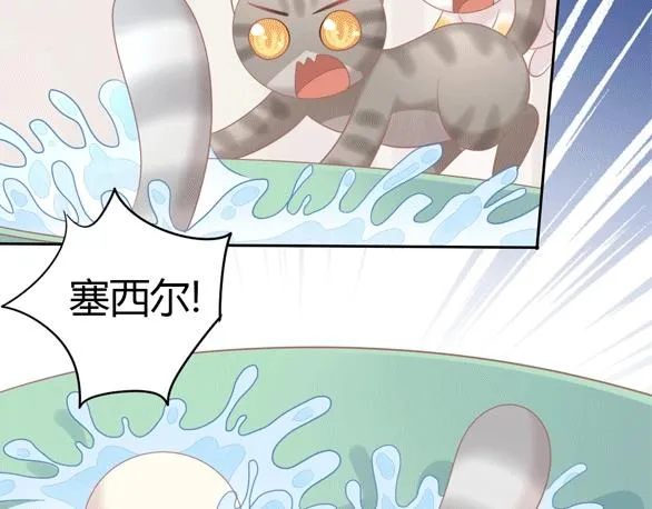 第297页