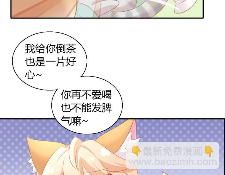 第204页
