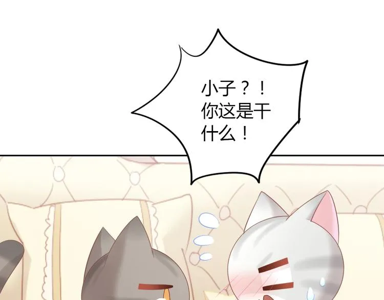 第237页