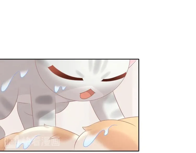 第228页