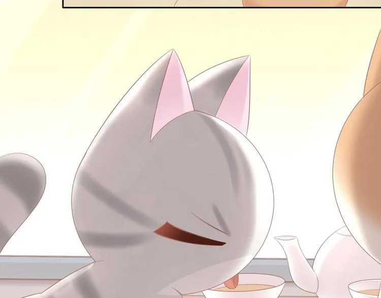 第237页