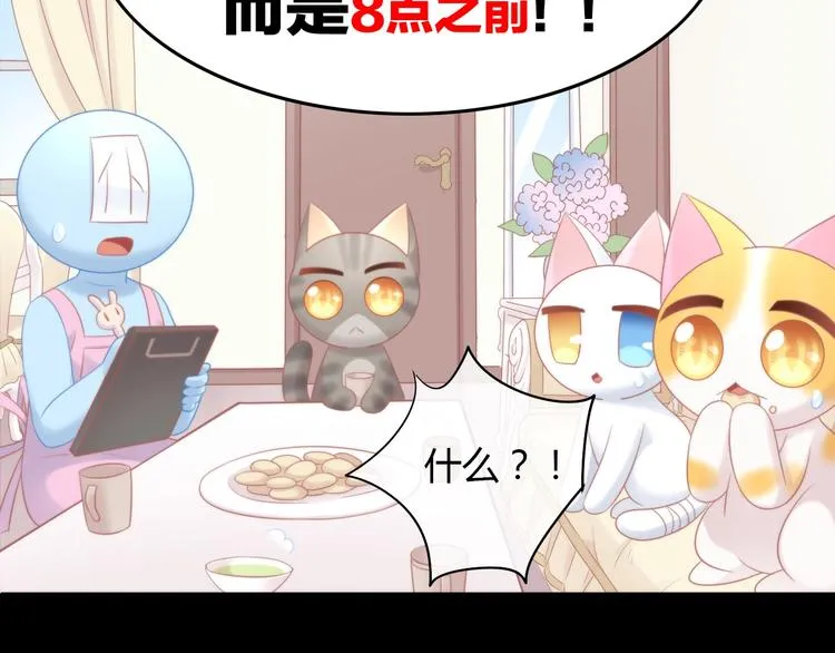 第204页