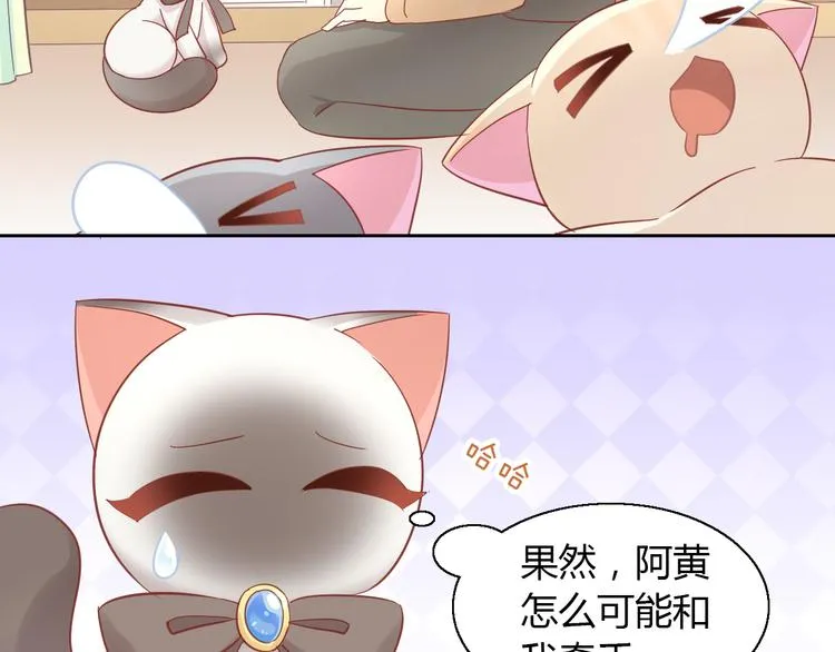 第231页
