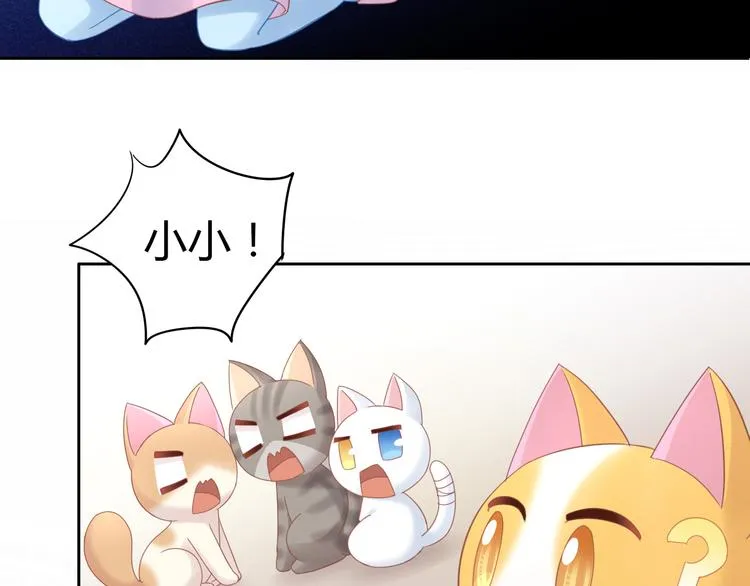 第225页