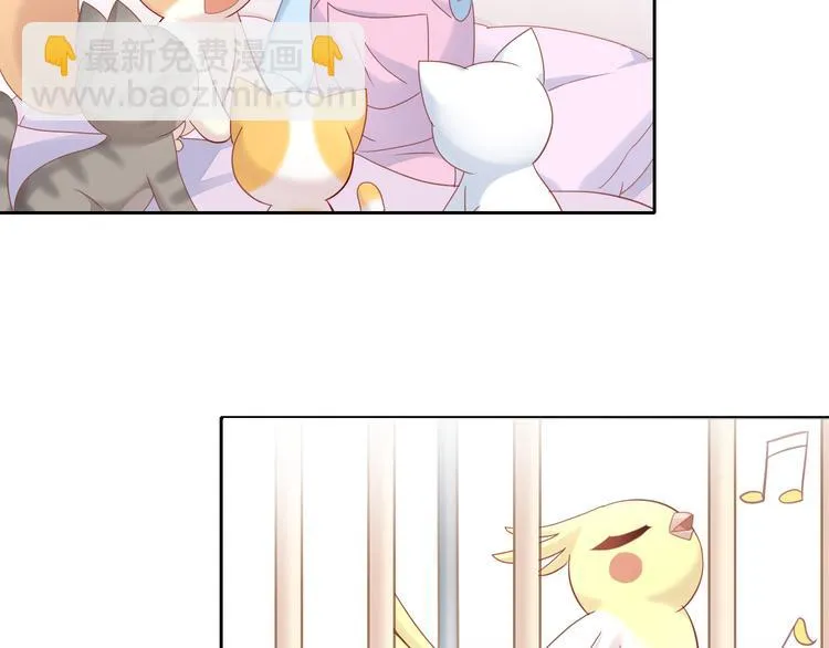 第243页