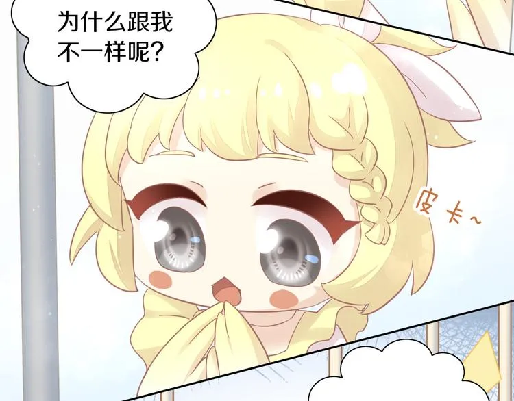 第222页