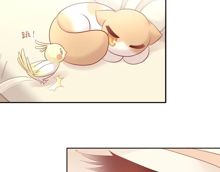 第255页