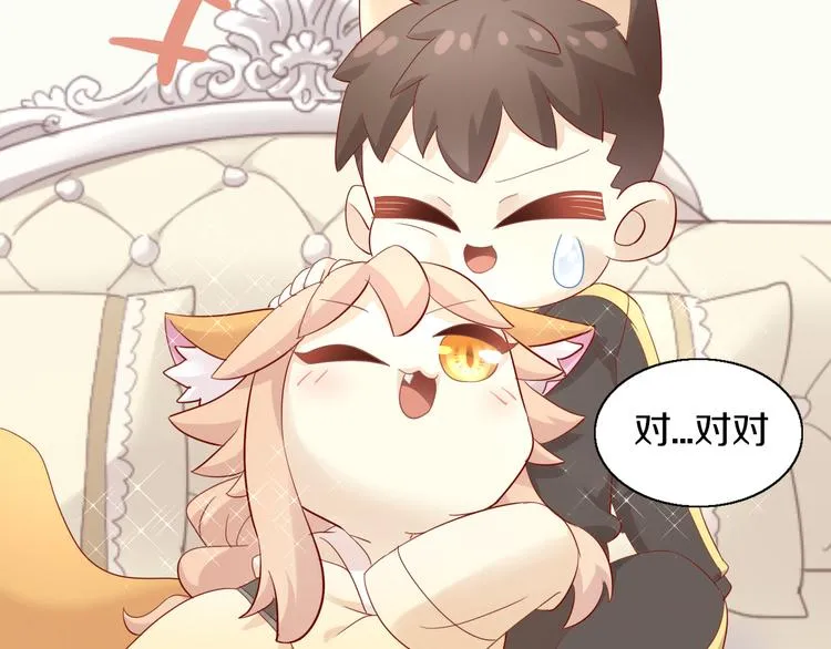 第255页