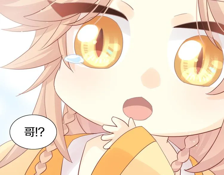 第237页
