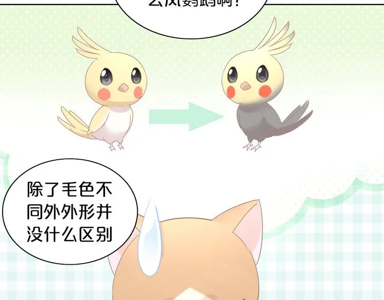 第234页