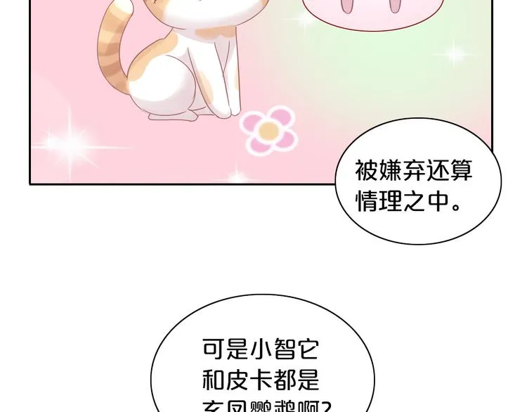 第231页