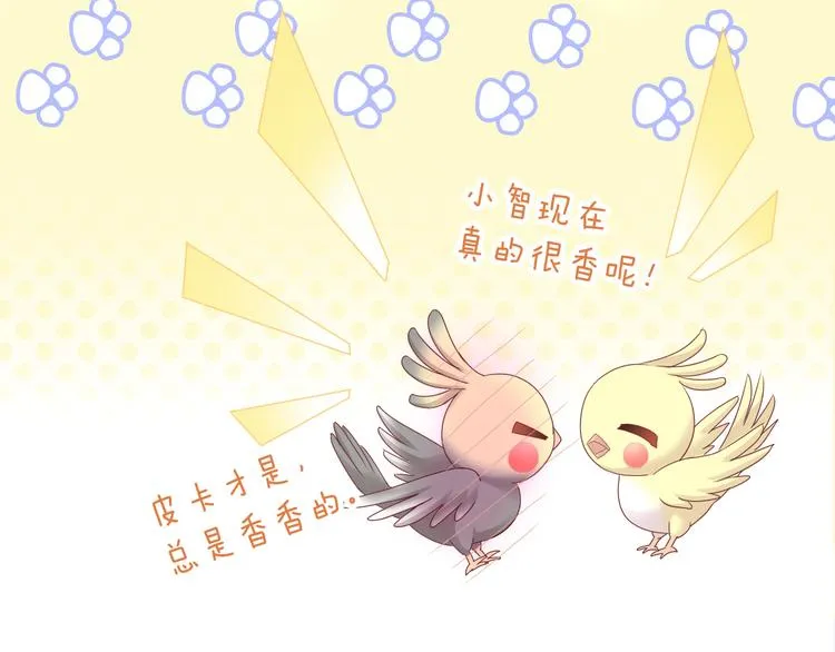 第234页