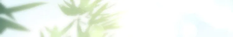 第243页