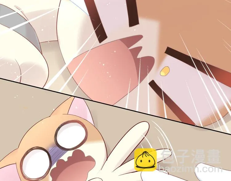 第291页