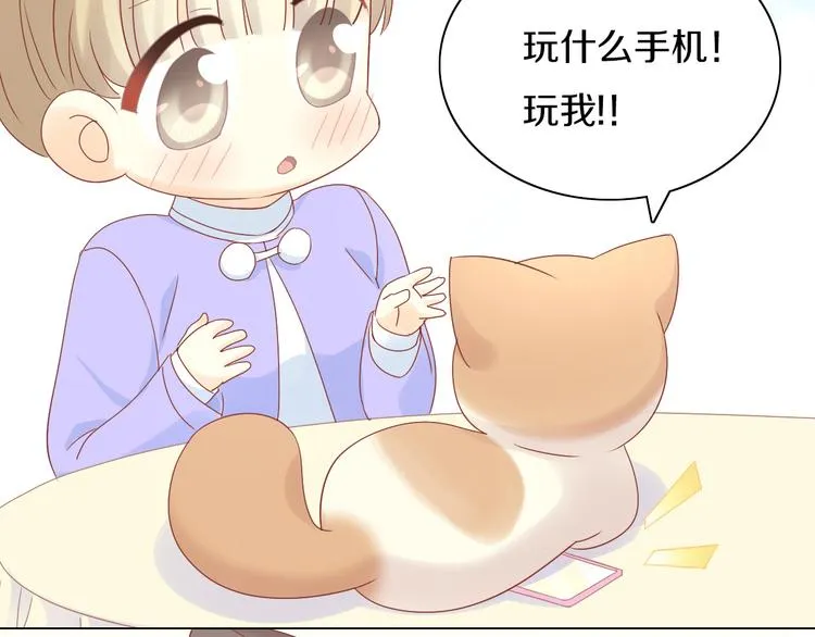 第213页