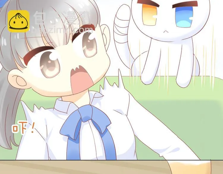 第204页