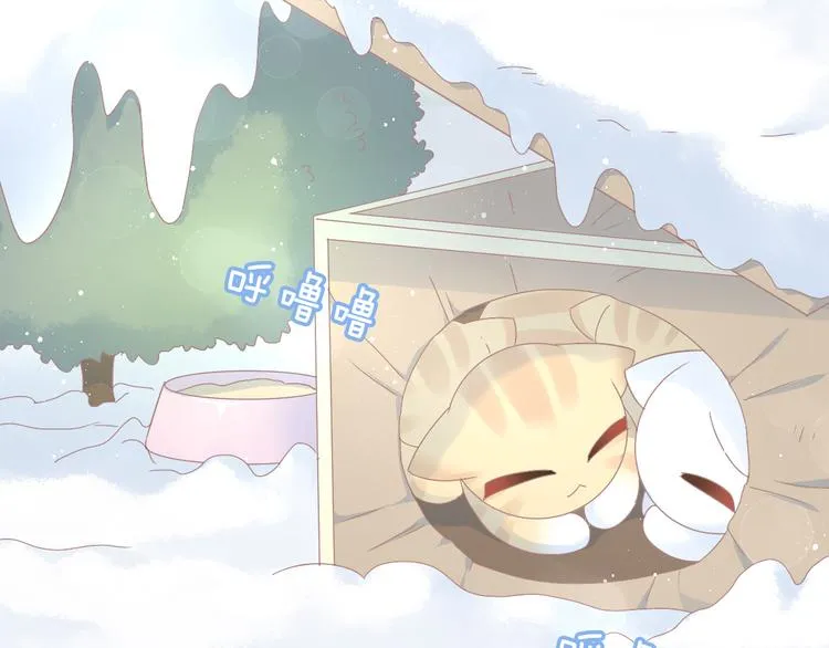 第225页