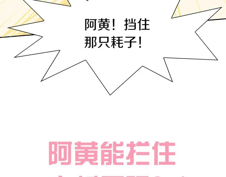 第252页