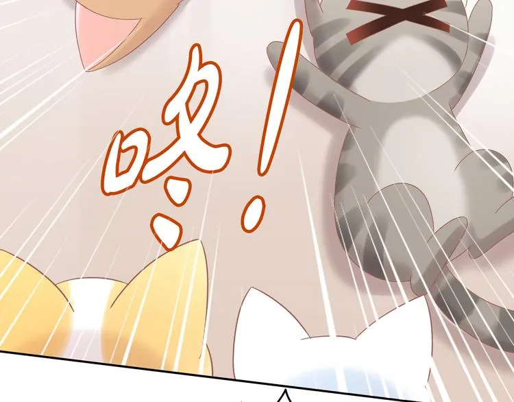 第264页