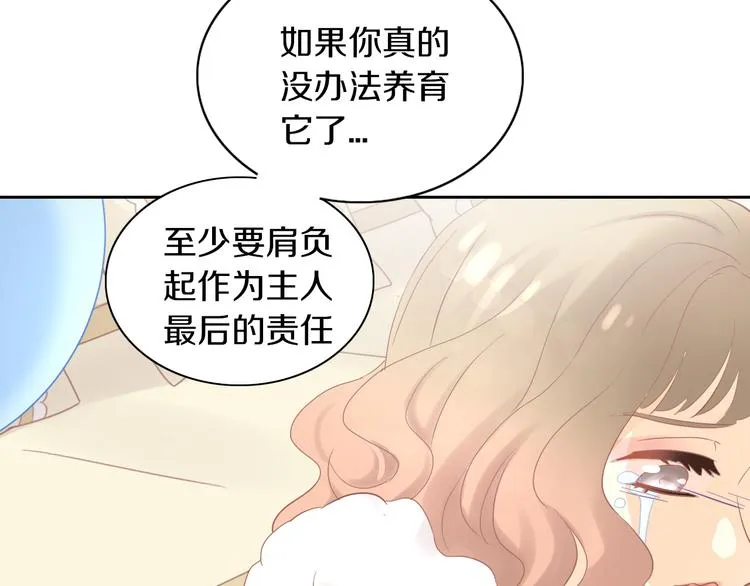 第258页