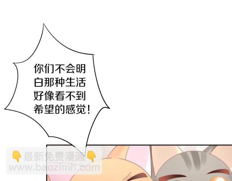 第231页