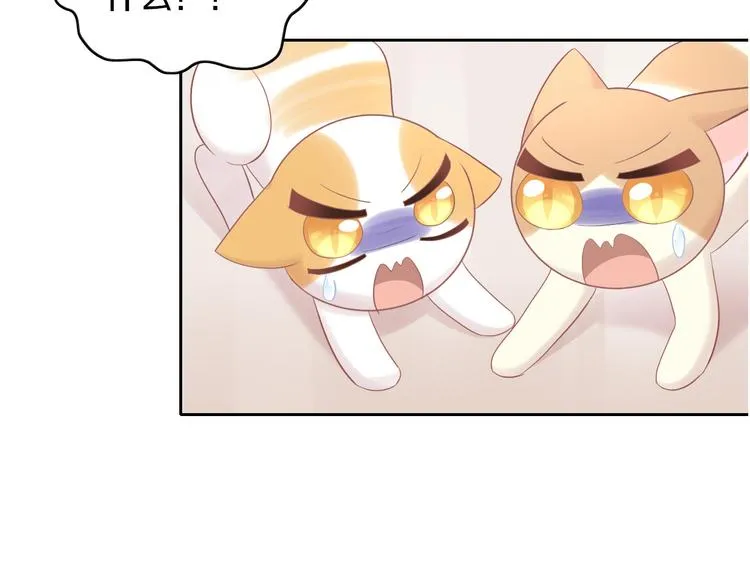 第270页