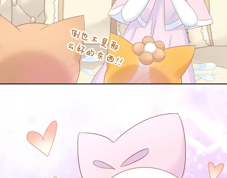 第243页