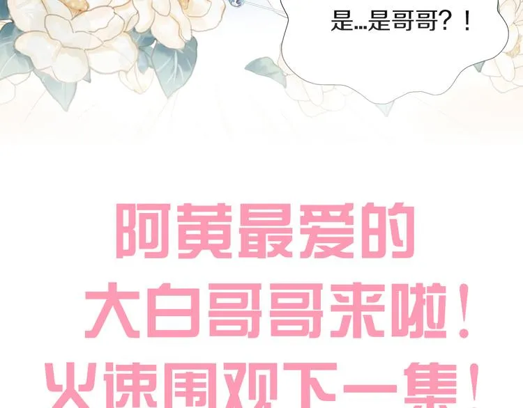 第234页
