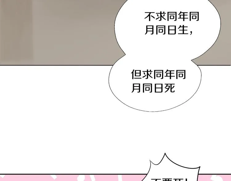 第243页