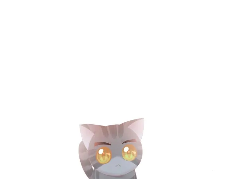 第237页