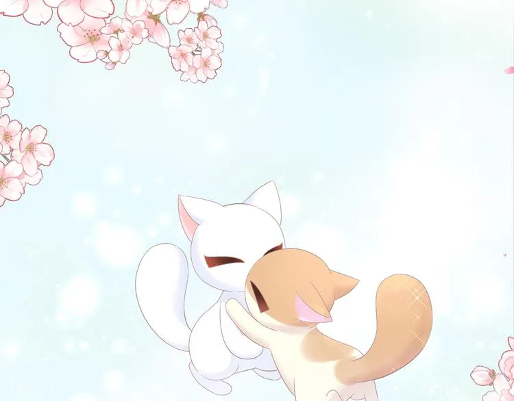 第270页