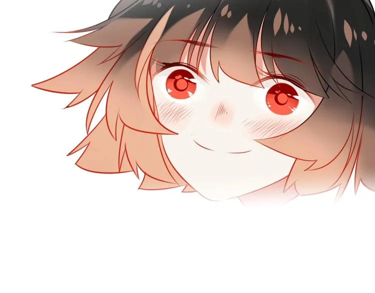 第234页