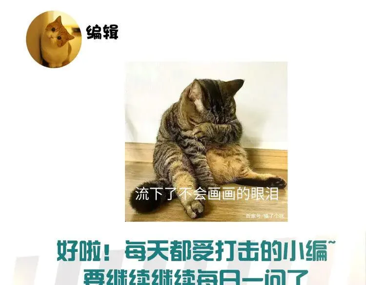 第285页