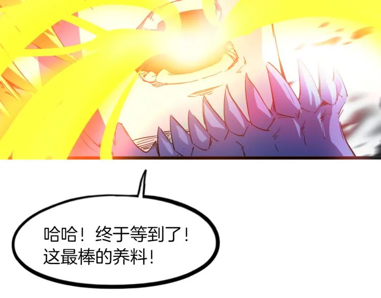 第300页