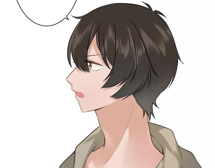 第204页