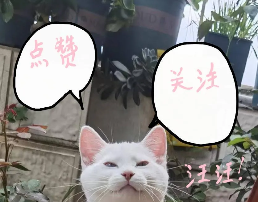 第231页