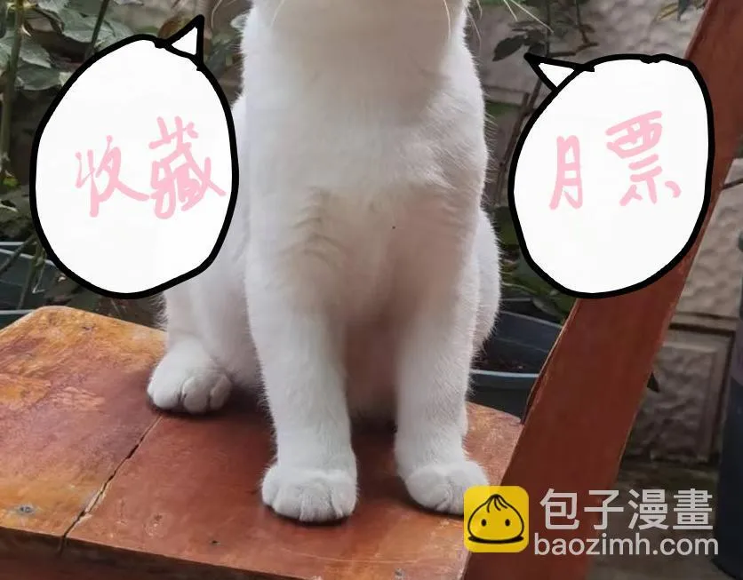 第234页