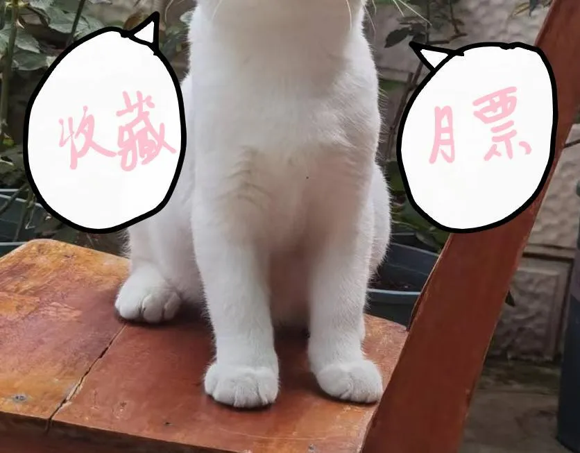 第183页