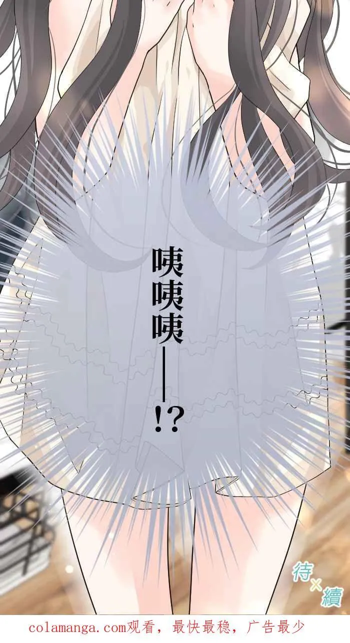 第204页