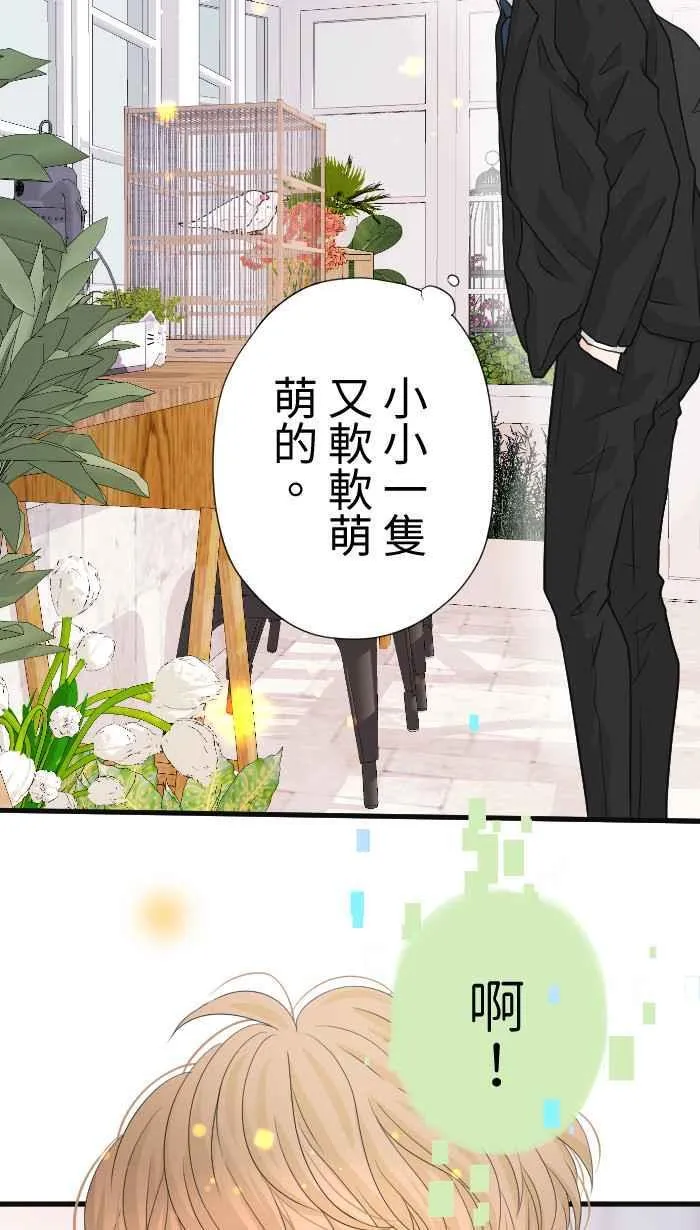 第195页