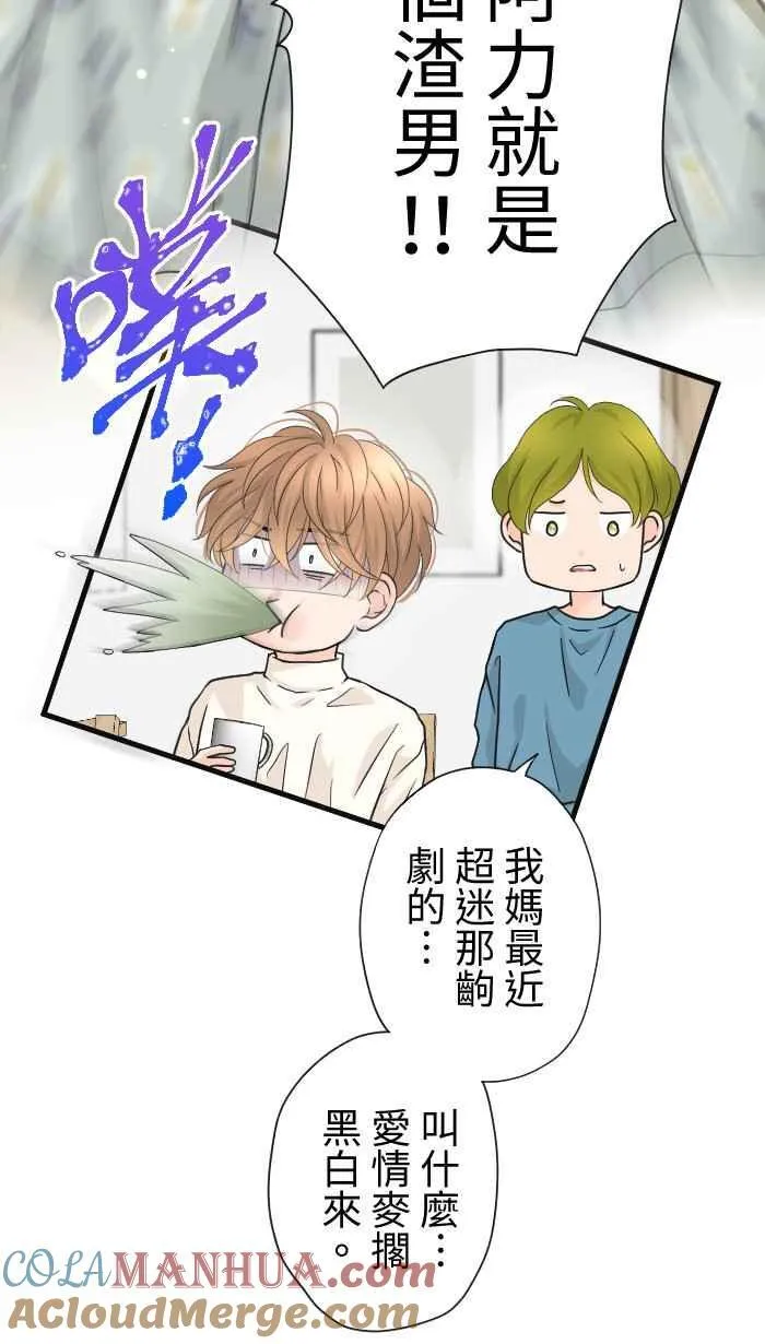 第207页
