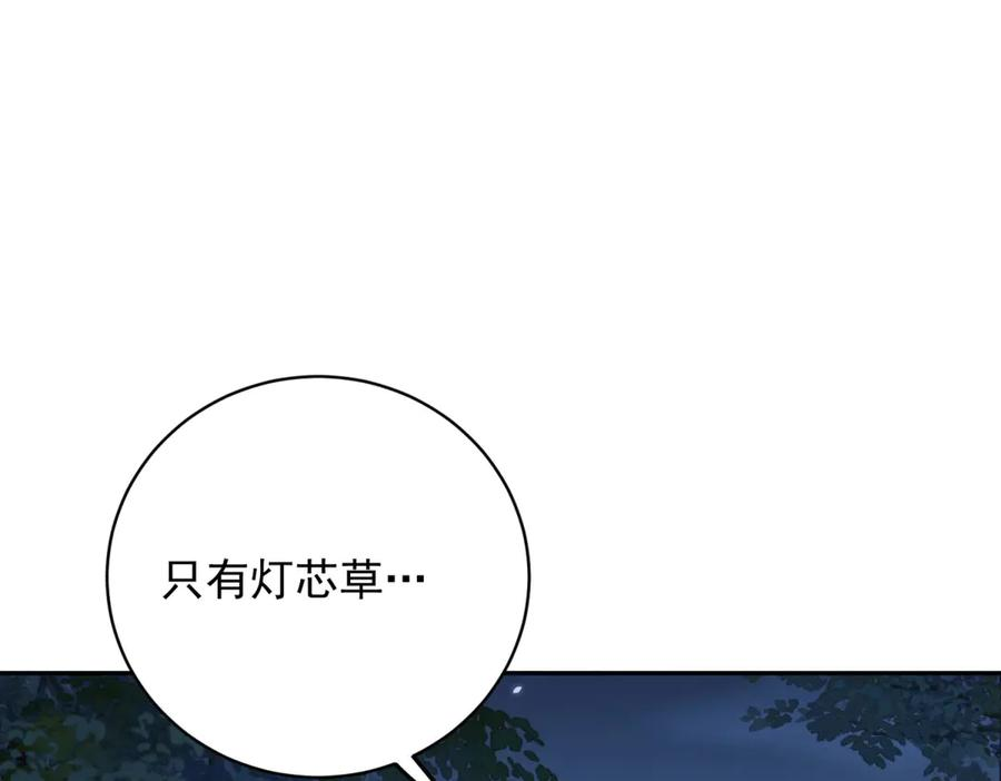 第321页