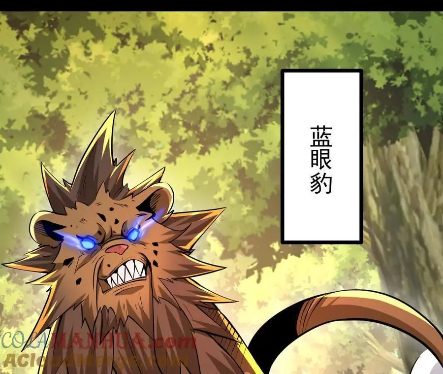 第234页