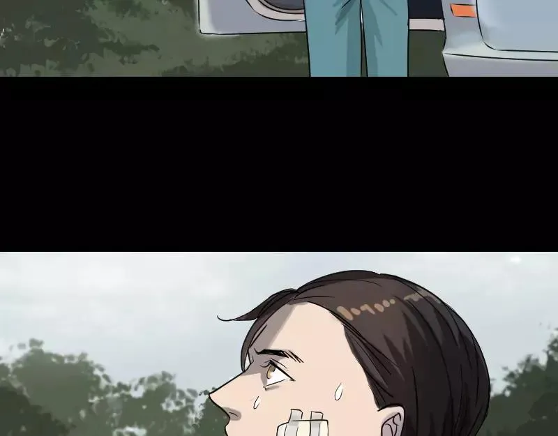 第195页