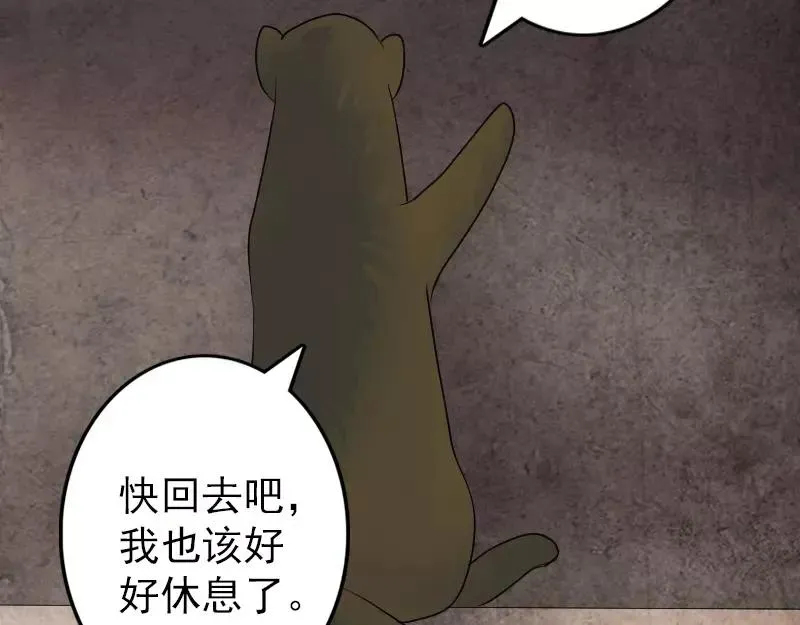 第213页