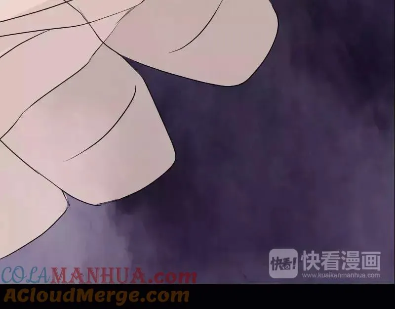 第243页